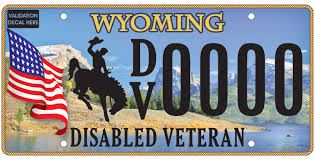 Disabled Veteran Plates (JPG)